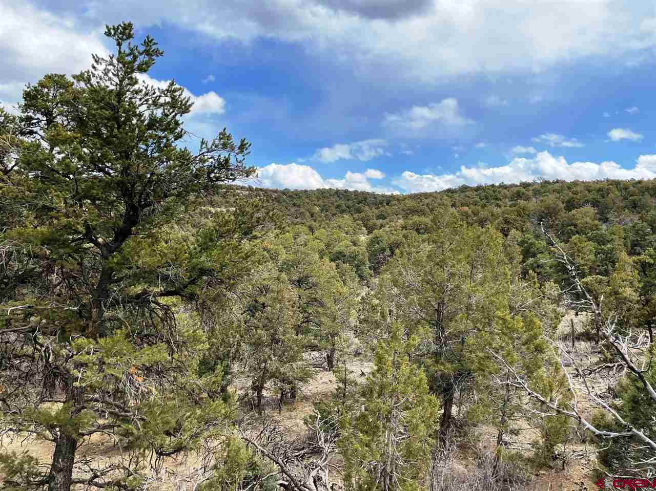 Tbd Tbd Cox Canyon Road Durango, CO 81303 - Photo 16 of 31 Gallery Image 16