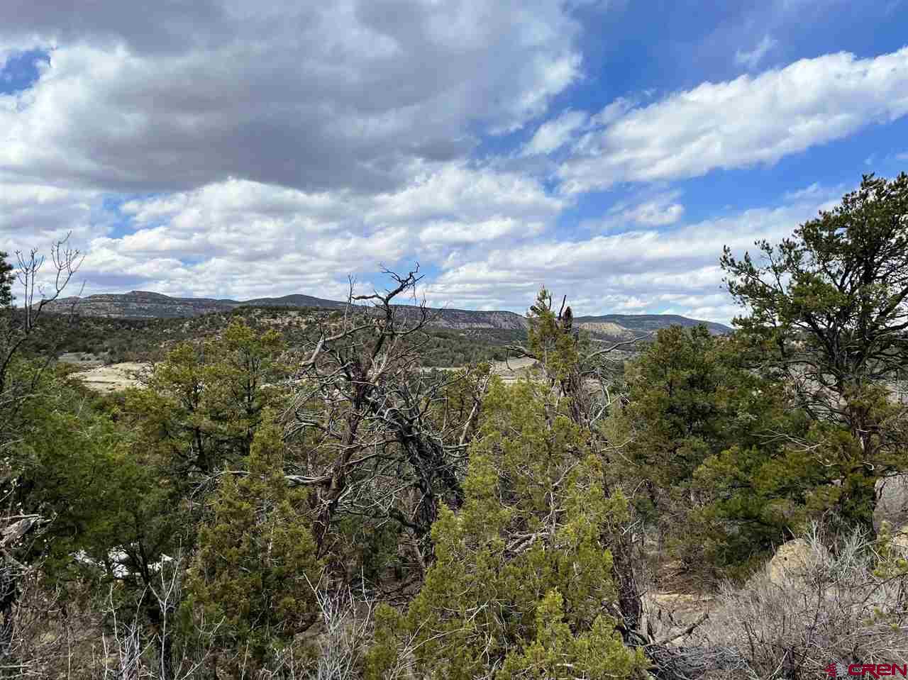 Tbd Tbd Cox Canyon Road Durango, CO 81303 - Photo 17 of 31 Gallery Image 17