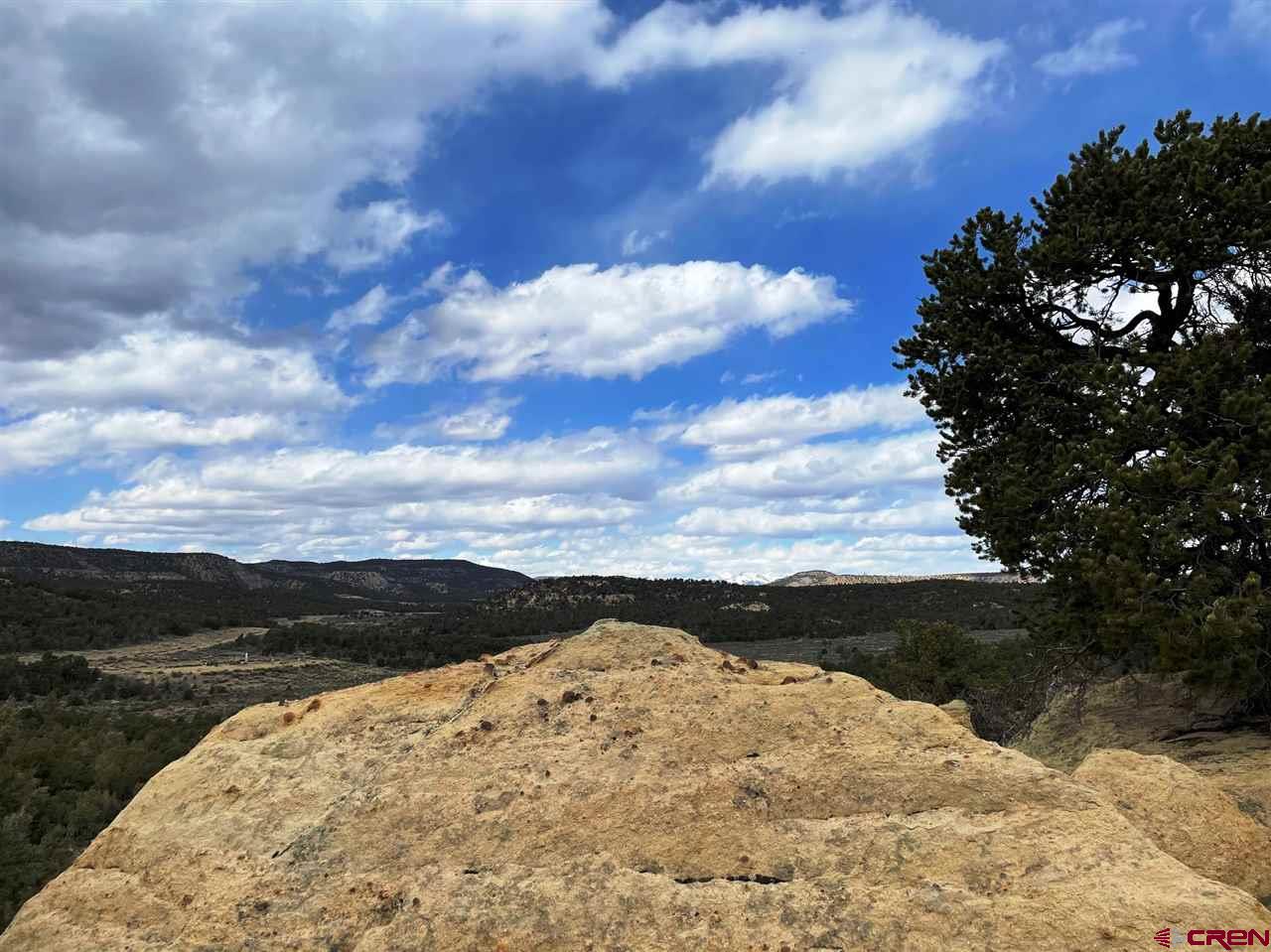 Tbd Tbd Cox Canyon Road Durango, CO 81303 - Photo 18 of 31 Gallery Image 18