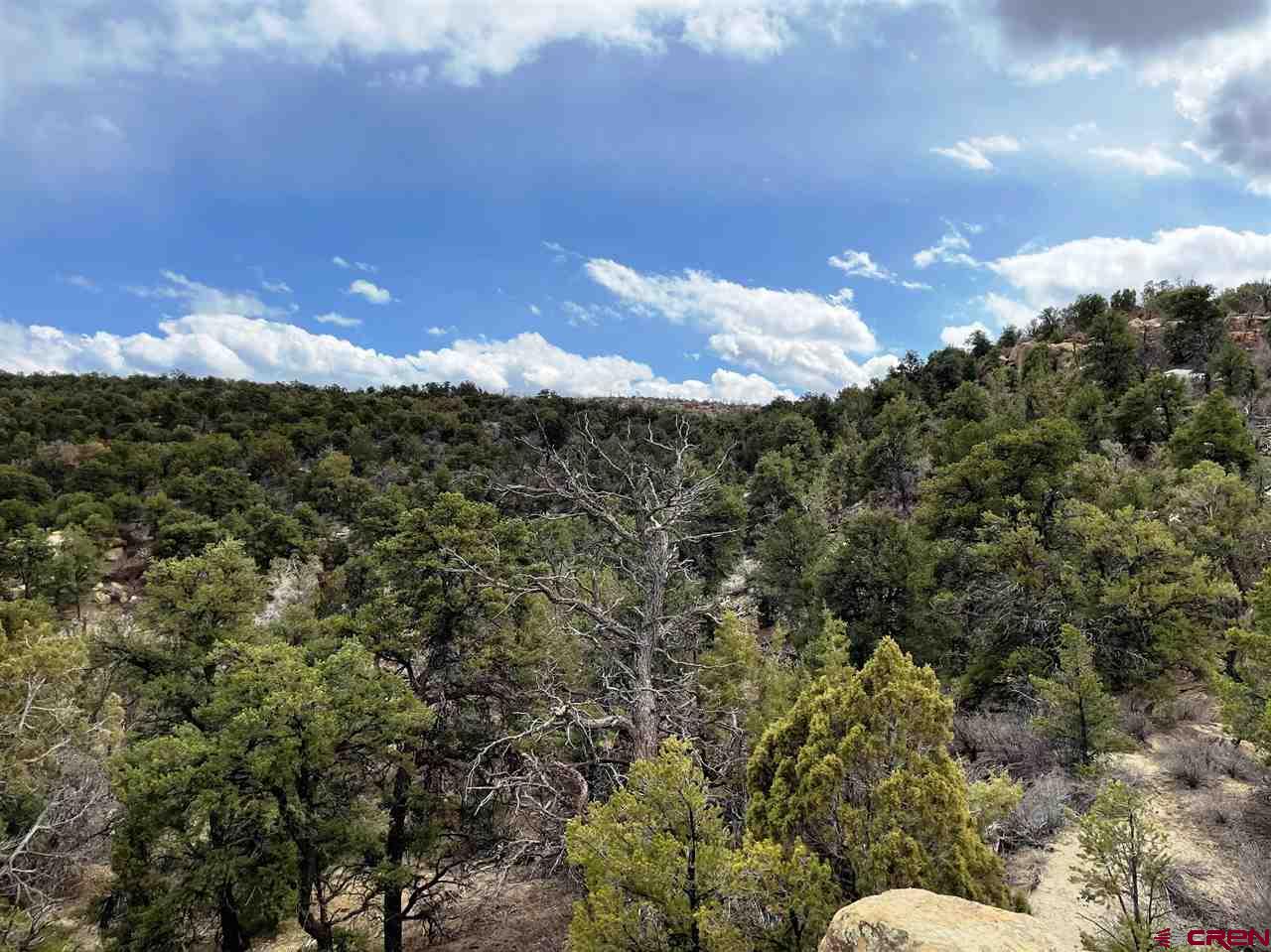 Tbd Tbd Cox Canyon Road Durango, CO 81303 - Photo 19 of 31 Gallery Image 19