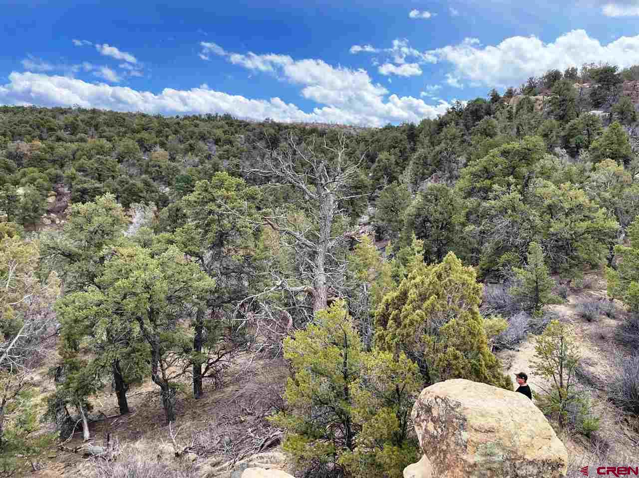 Tbd Tbd Cox Canyon Road Durango, CO 81303 - Photo 20 of 31 Gallery Image 20