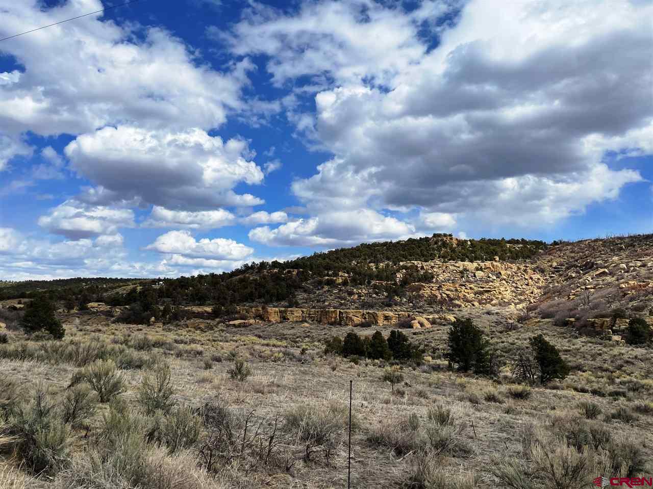 Tbd Tbd Cox Canyon Road Durango, CO 81303 - Photo 3 of 31 Gallery Image 3