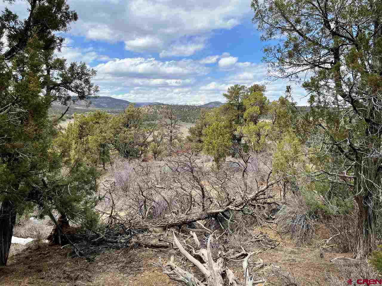 Tbd Tbd Cox Canyon Road Durango, CO 81303 - Photo 22 of 31 Gallery Image 22