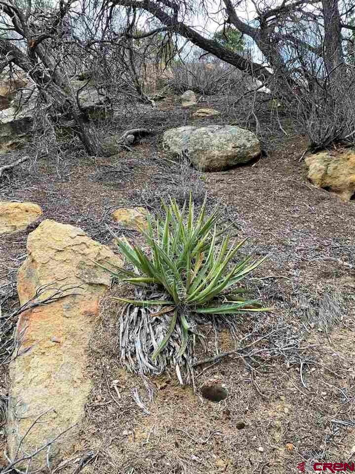 Tbd Tbd Cox Canyon Road Durango, CO 81303 - Photo 24 of 31 Gallery Image 24