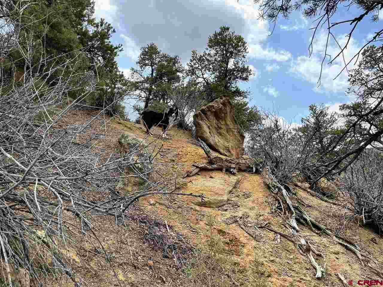 Tbd Tbd Cox Canyon Road Durango, CO 81303 - Photo 25 of 31 Gallery Image 25