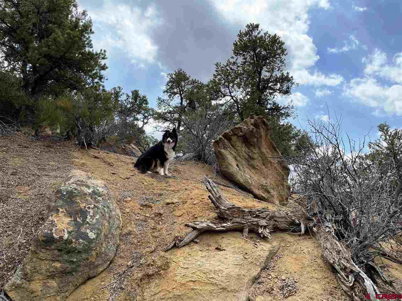 Tbd Tbd Cox Canyon Road Durango, CO 81303 - Photo 26 of 31 Gallery Image 26
