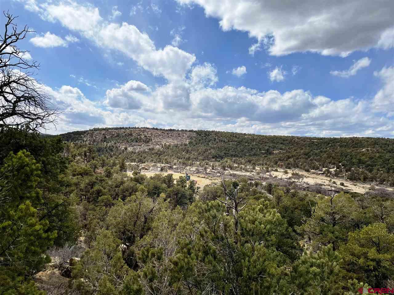 Tbd Tbd Cox Canyon Road Durango, CO 81303 - Photo 27 of 31 Gallery Image 27