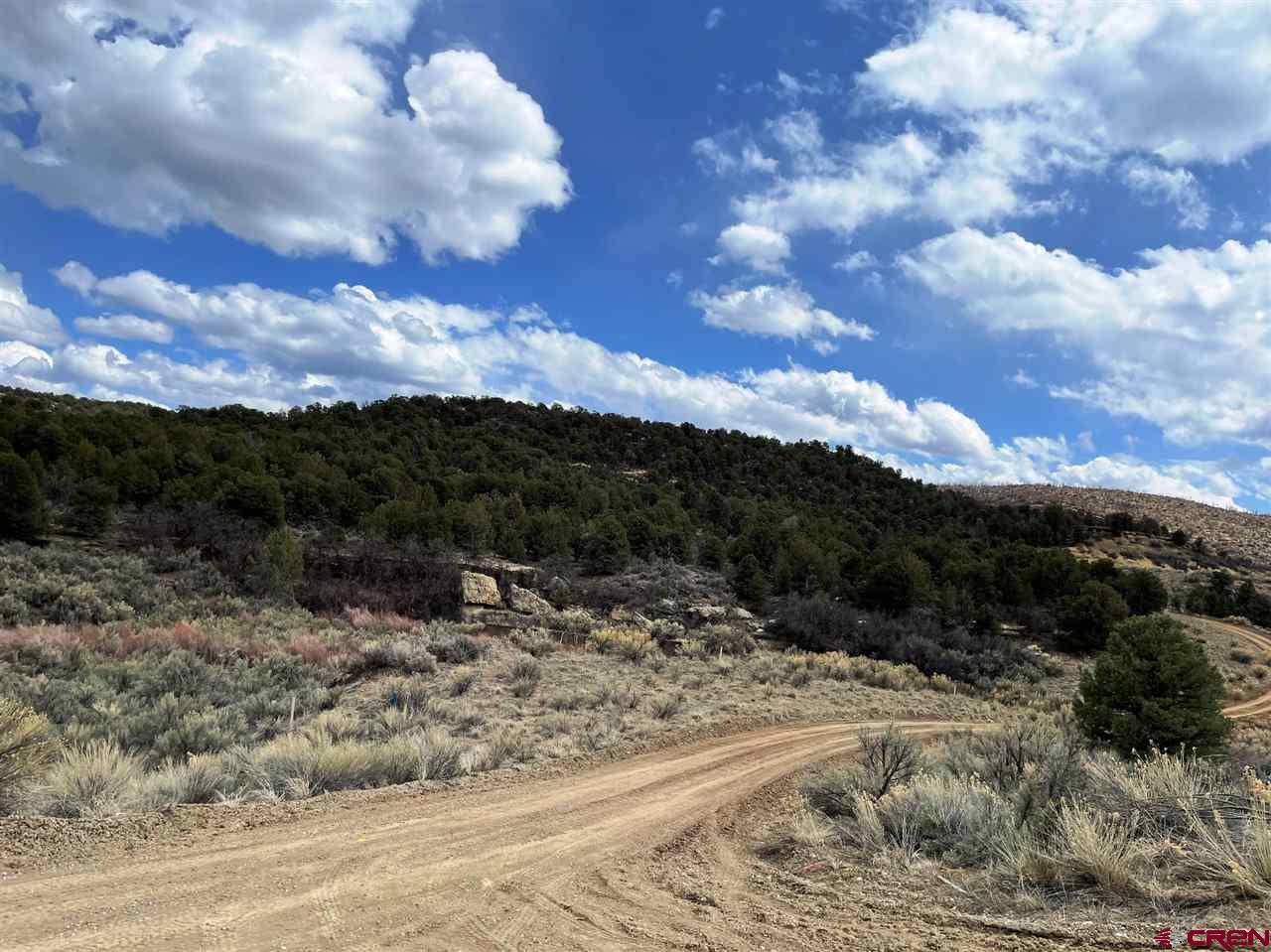 Tbd Tbd Cox Canyon Road Durango, CO 81303 - Photo 28 of 31 Gallery Image 28