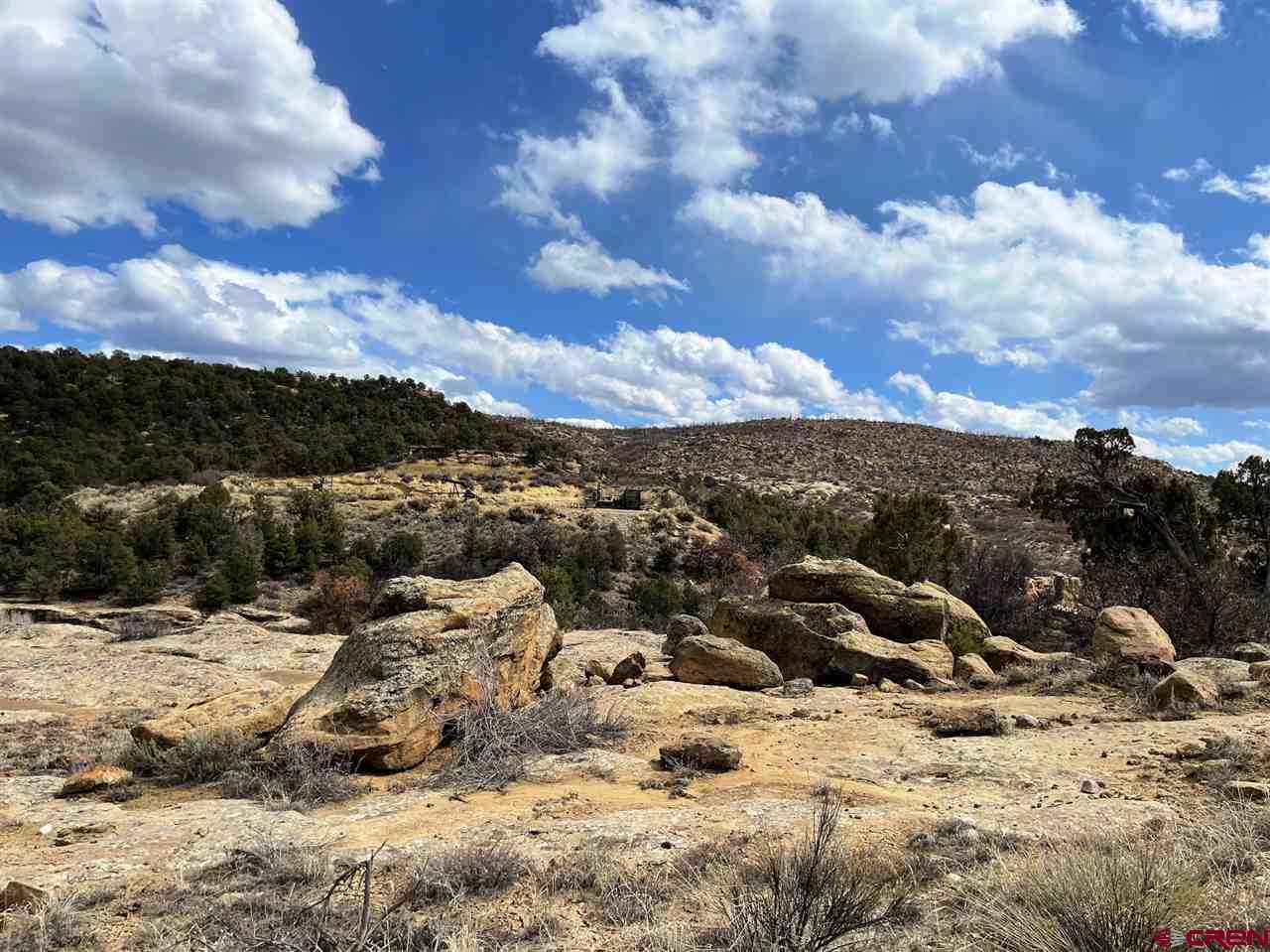 Tbd Tbd Cox Canyon Road Durango, CO 81303 - Photo 29 of 31 Gallery Image 29