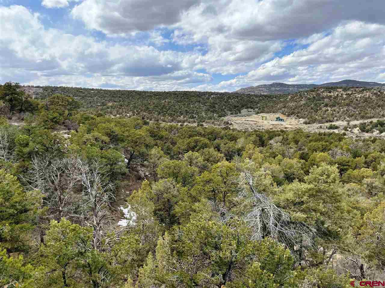 Tbd Tbd Cox Canyon Road Durango, CO 81303 - Photo 4 of 31 Gallery Image 4