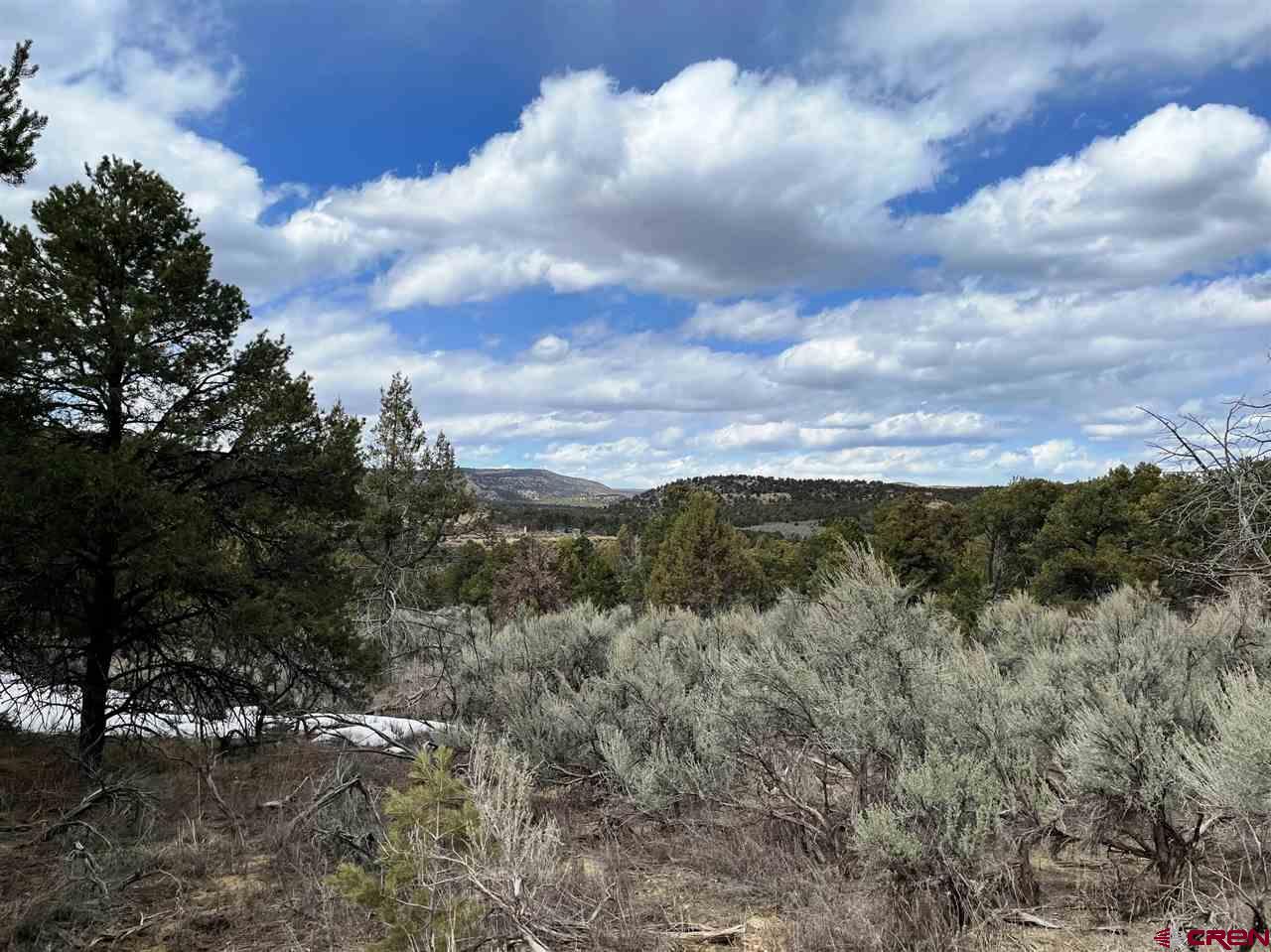 Tbd Tbd Cox Canyon Road Durango, CO 81303 - Photo 5 of 31 Gallery Image 5