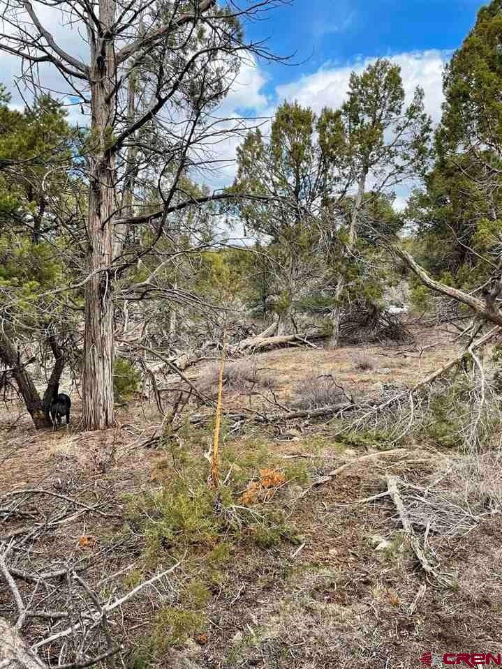 Tbd Tbd Cox Canyon Road Durango, CO 81303 - Photo 9 of 31 Gallery Image 9