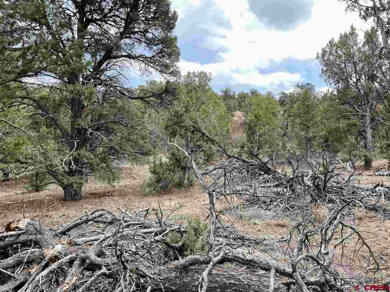 Tbd Tbd Cox Canyon Road Durango, CO 81303 - Photo 10 of 31 Gallery Image 10
