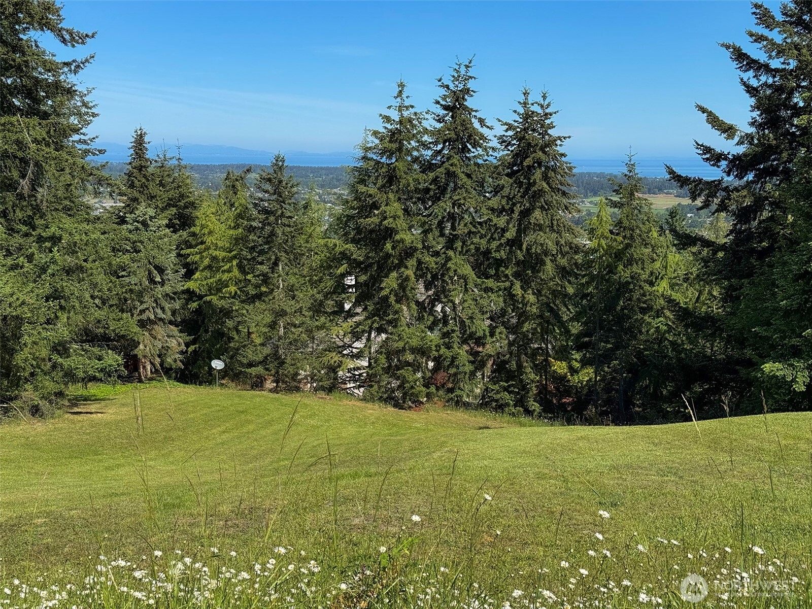 1 Owls Nest Road Sequim, WA 98382 - Photo 11 of 31 a view of yard with green field