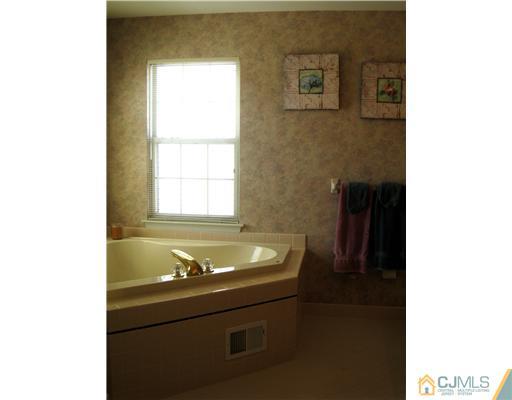 33 Brownstone Road East Windsor, NJ 08520 - Photo 11 of 20 a bathroom with a sink and a bathtub