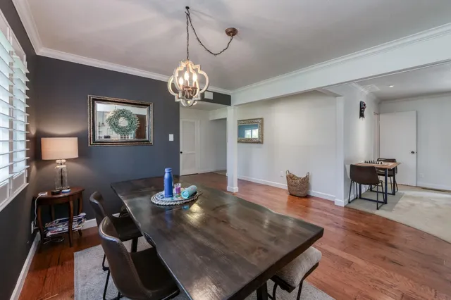 a view of a backyard with plants and a large tree