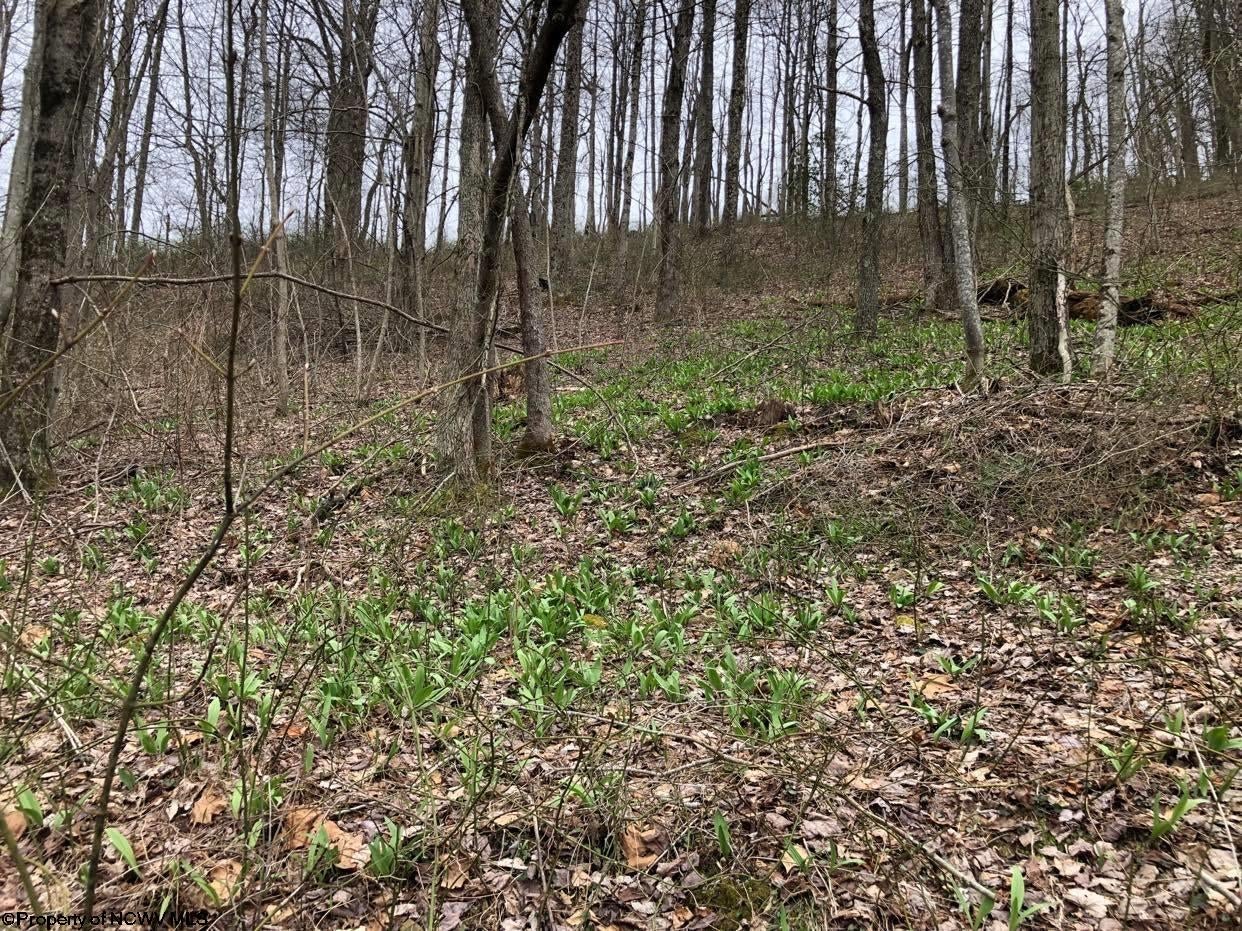 241 Rocky Ridge Hacker Valley, WV 26222 - Photo 22 of 30 Gallery Image 22