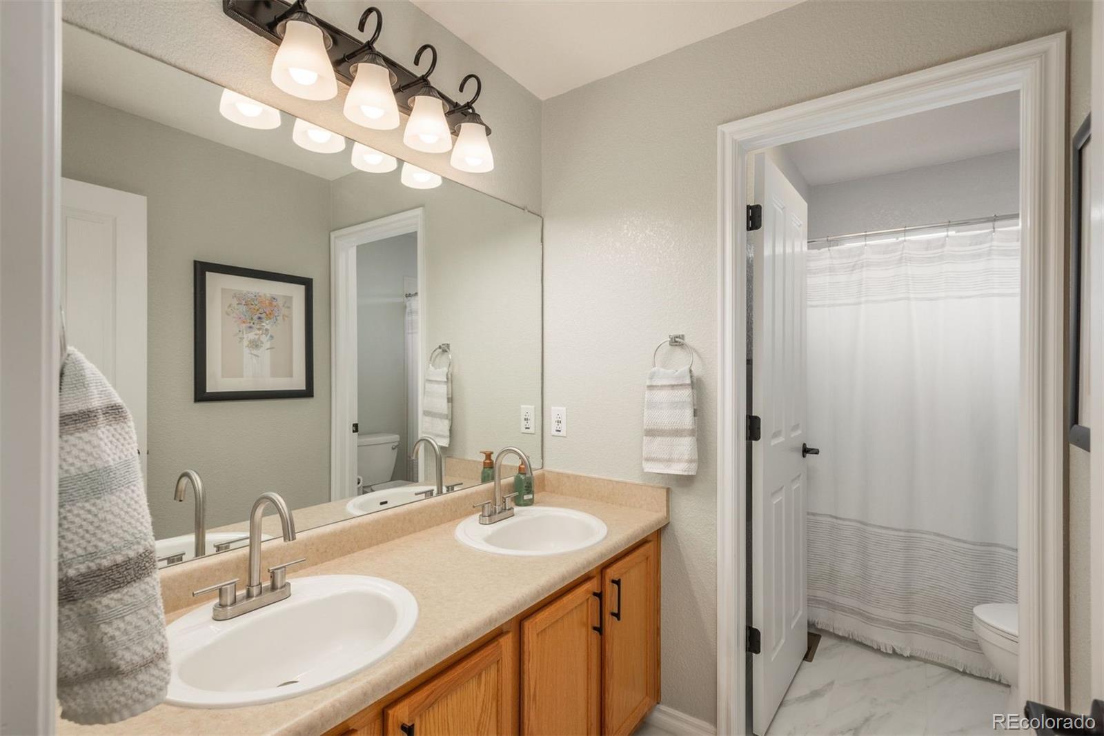 10696 Riverbrook Circle Highlands Ranch, CO 80126 - Photo 20 of 24 a bathroom with a sink a light fixture and a mirror