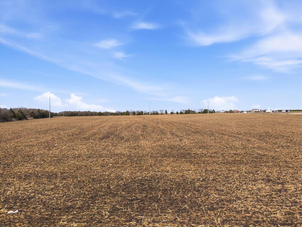 643 County Road 643 Nevada, TX 75173 - Photo 6 of 13