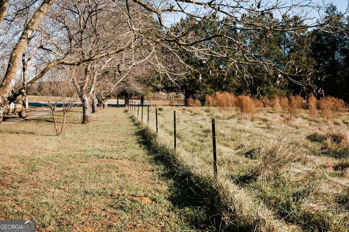 119 Ralph Bridges Road Lexington, GA 30648 - Photo 44 of 48