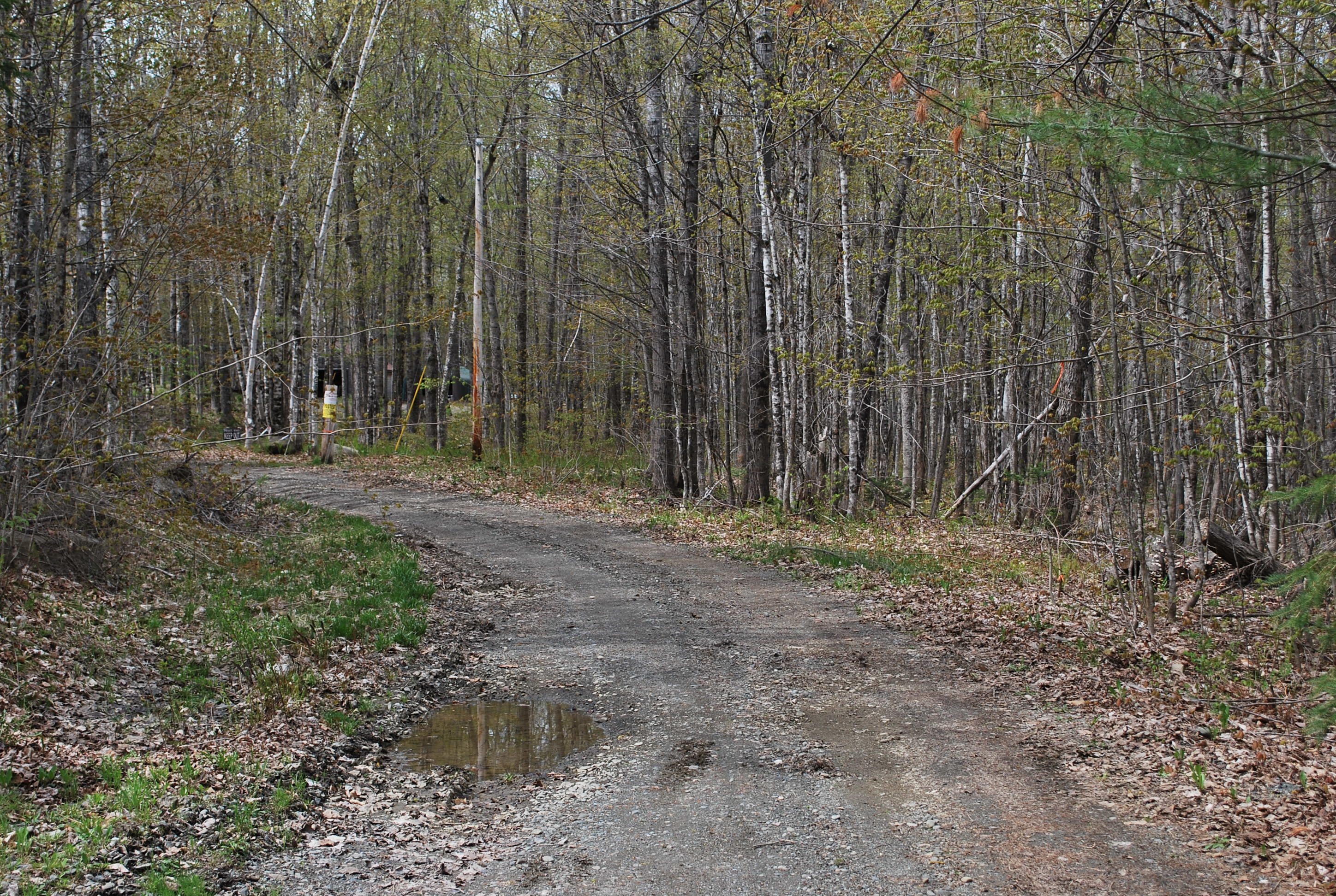 0 Anderson Road Sangerville, ME 04479 - Photo 10 of 11 Ross & Carr 010