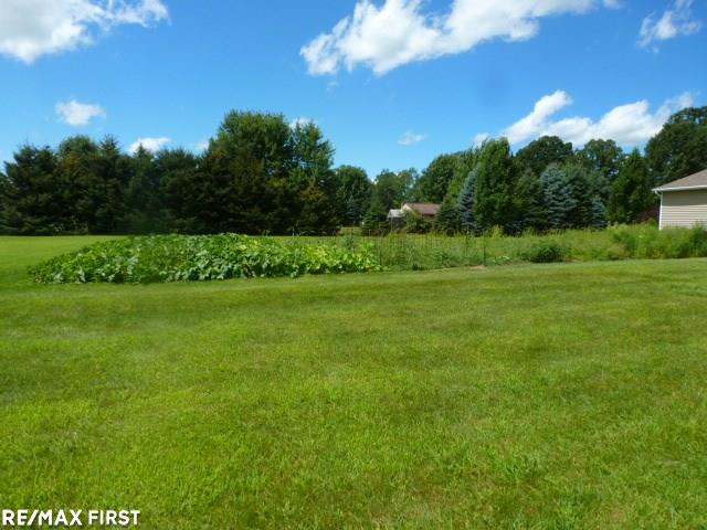 8852 Marr Road Almont, MI 48003 - Photo 2 of 29 31327479-1.JPG