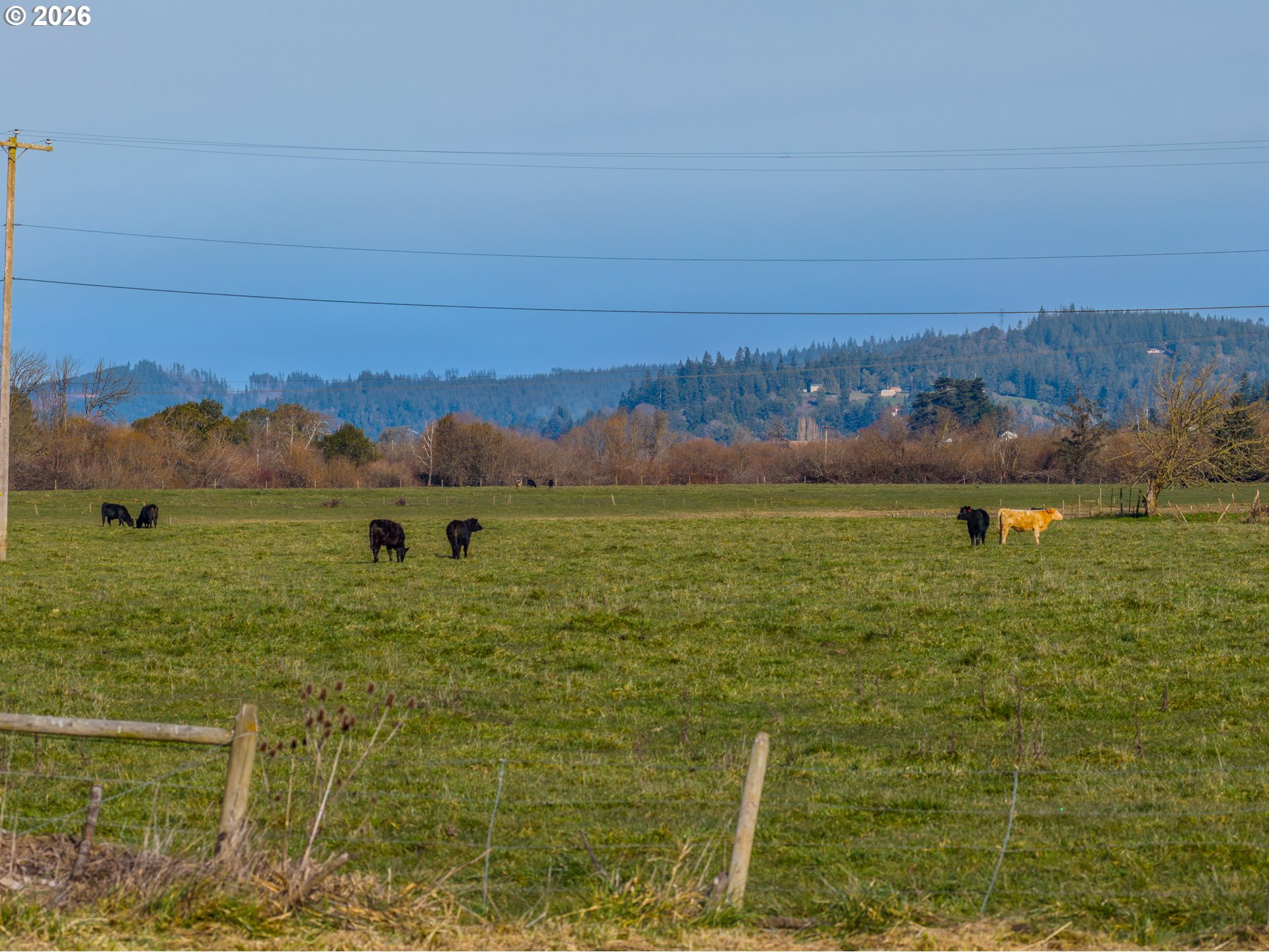 93703 Lower Norway Lane Myrtle Point, OR 97458 - Photo 34 of 41