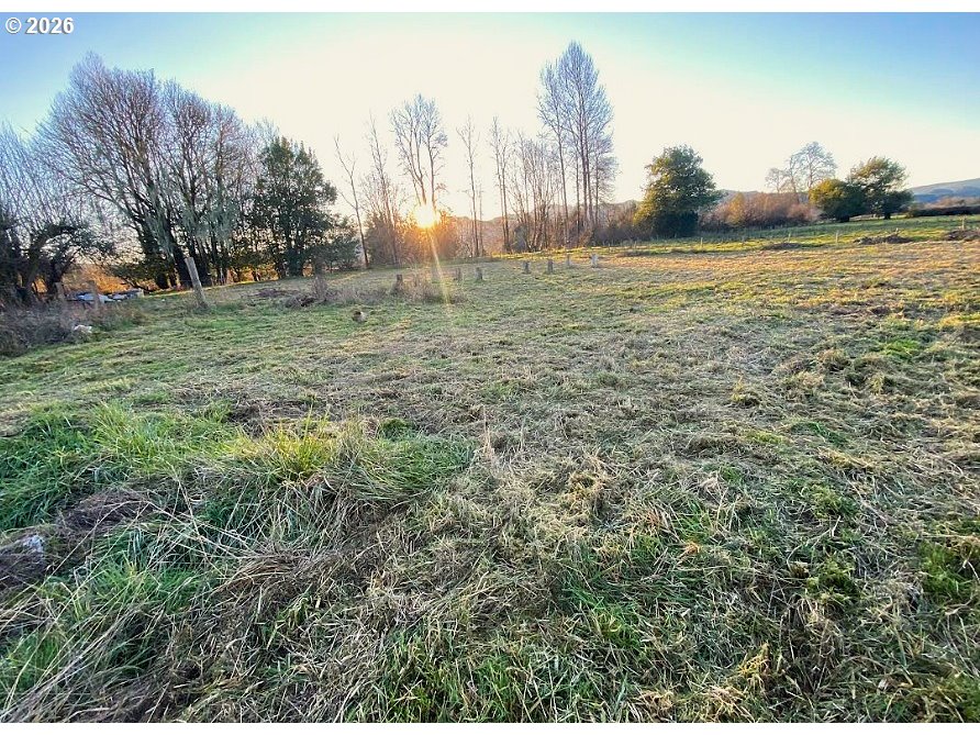 93703 Lower Norway Lane Myrtle Point, OR 97458 - Photo 41 of 41