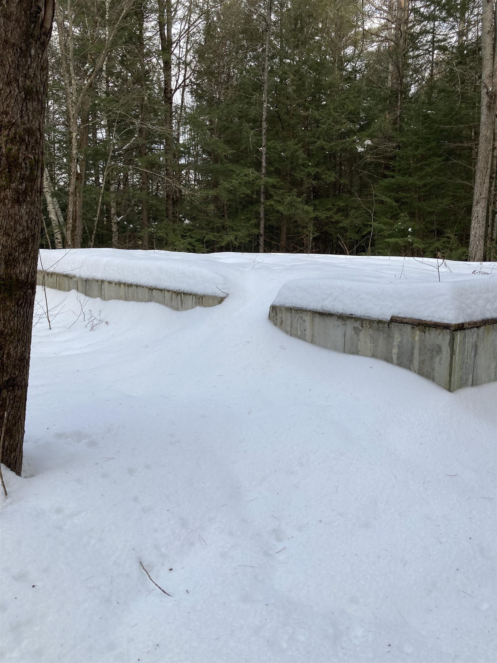 63 Codman Hill Road Deering, NH 03244 - Photo 1 of 3