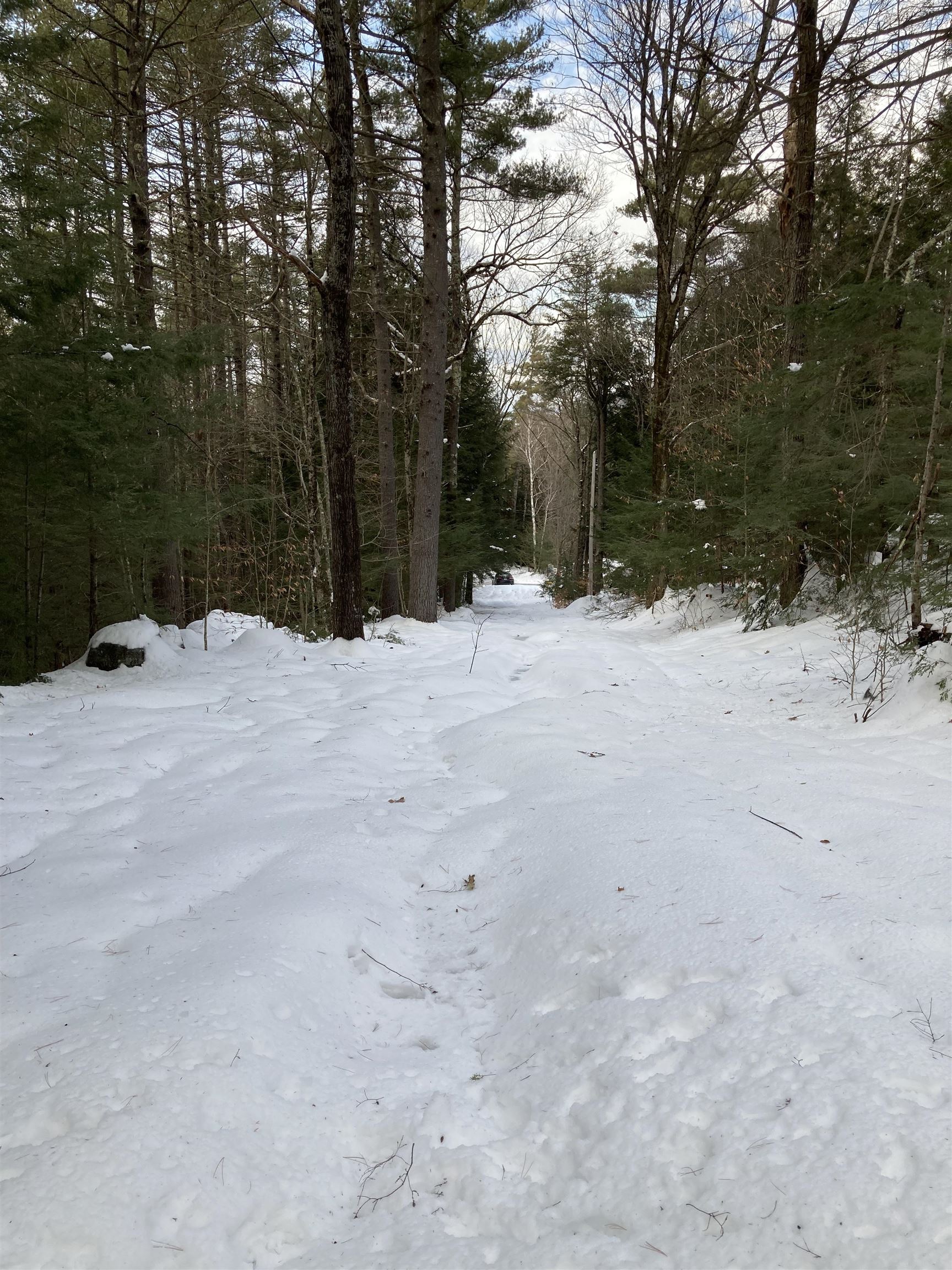 63 Codman Hill Road Deering, NH 03244 - Photo 3 of 3