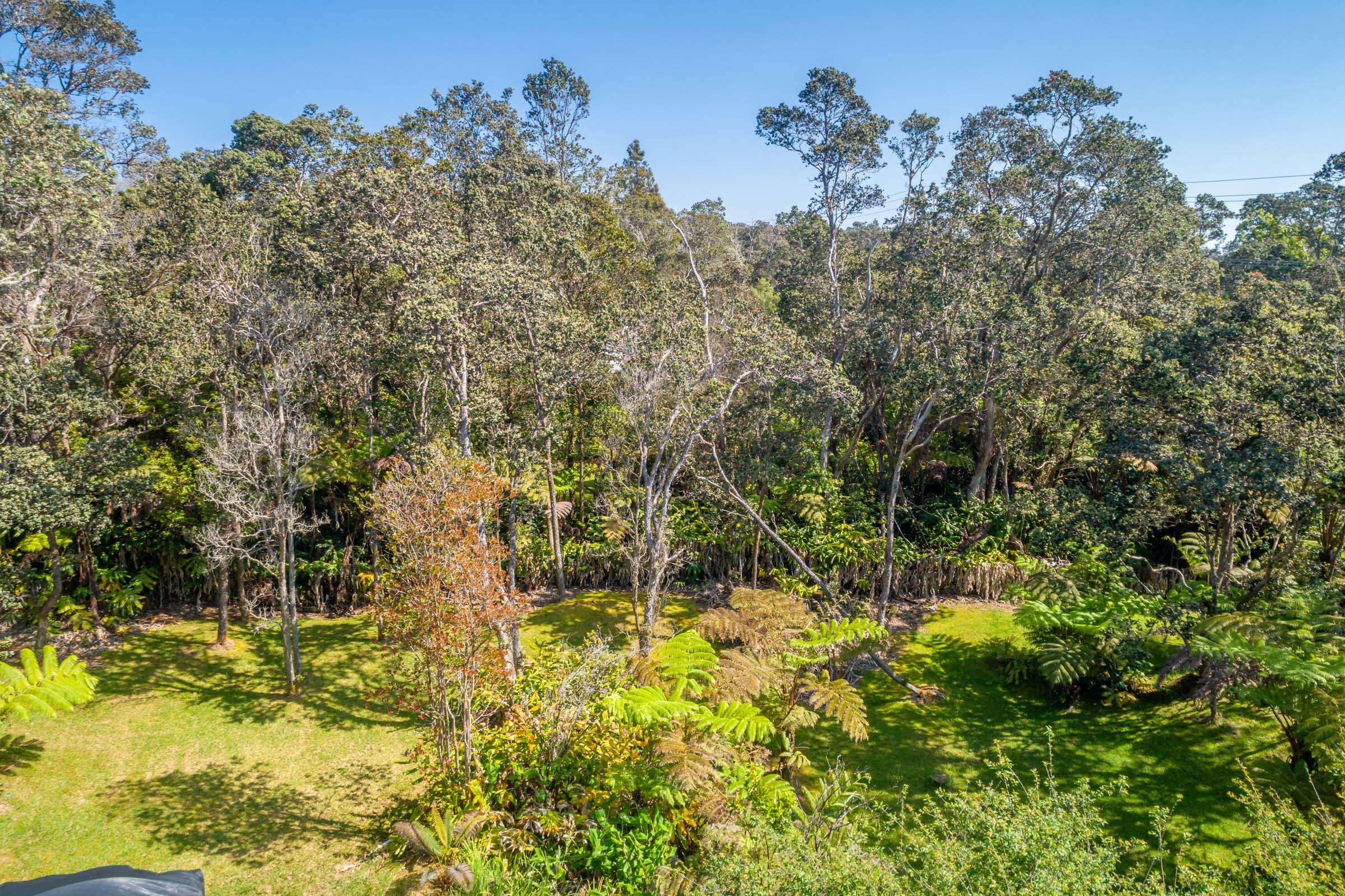 19-4035 Wright Road Volcano, HI 96785 - Photo 11 of 25 a view of swimming pool with an outdoor space and seating area
