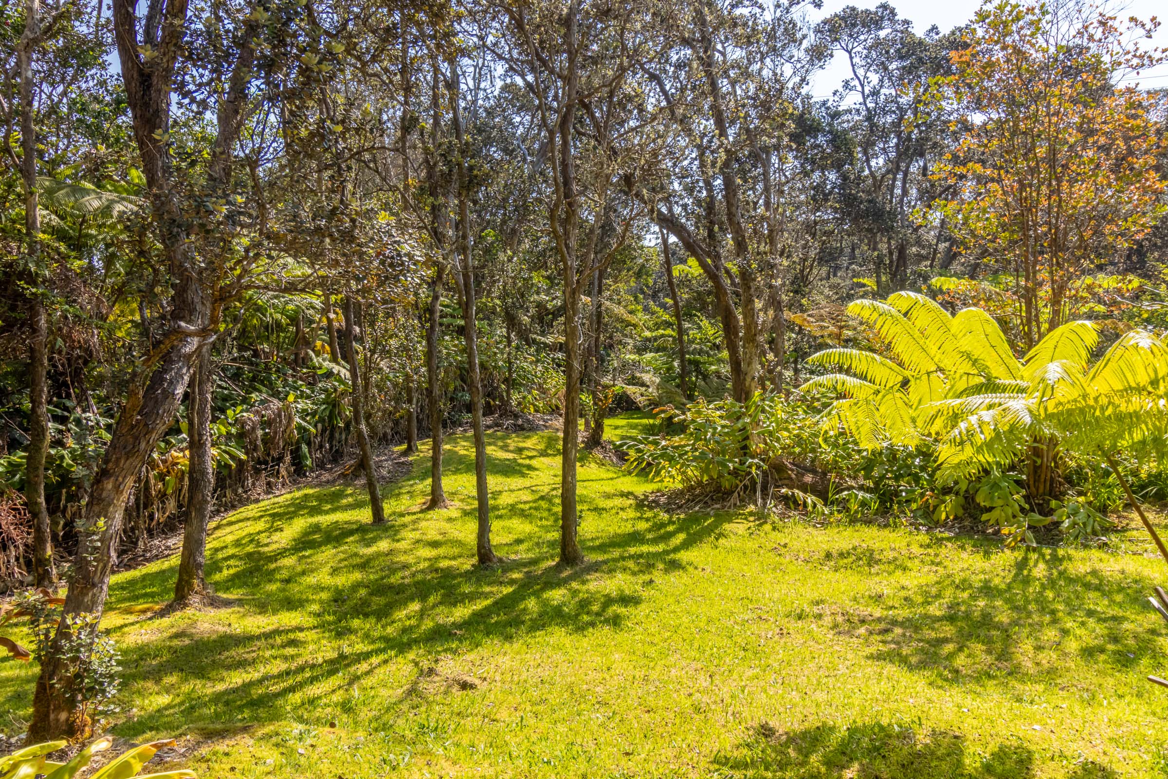 19-4035 Wright Road Volcano, HI 96785 - Photo 19 of 25 a view of yard with swimming pool