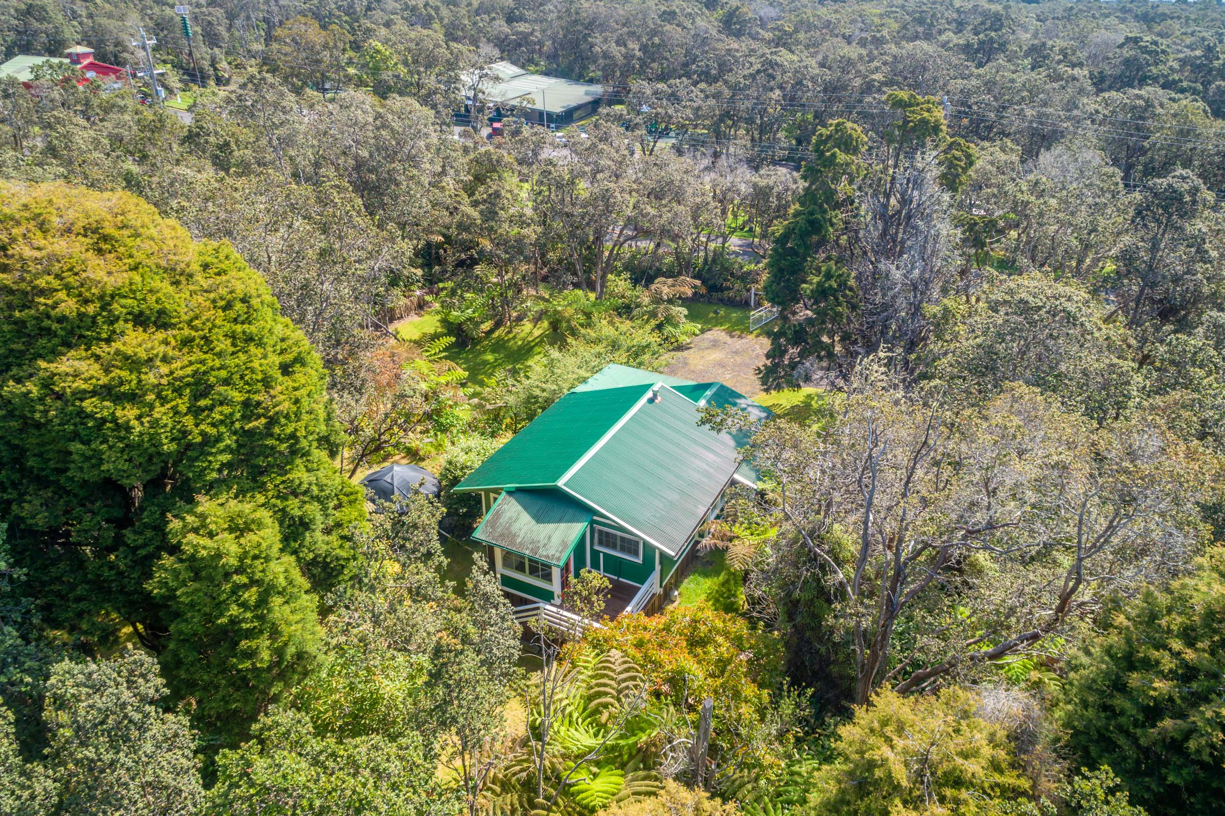 19-4035 Wright Road Volcano, HI 96785 - Photo 7 of 25 a view of a backyard with plants