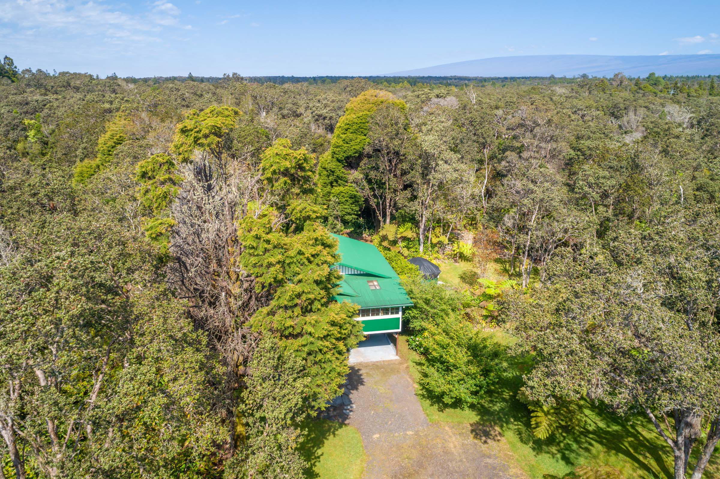 19-4035 Wright Road Volcano, HI 96785 - Photo 8 of 25 a view of lake view and mountain view