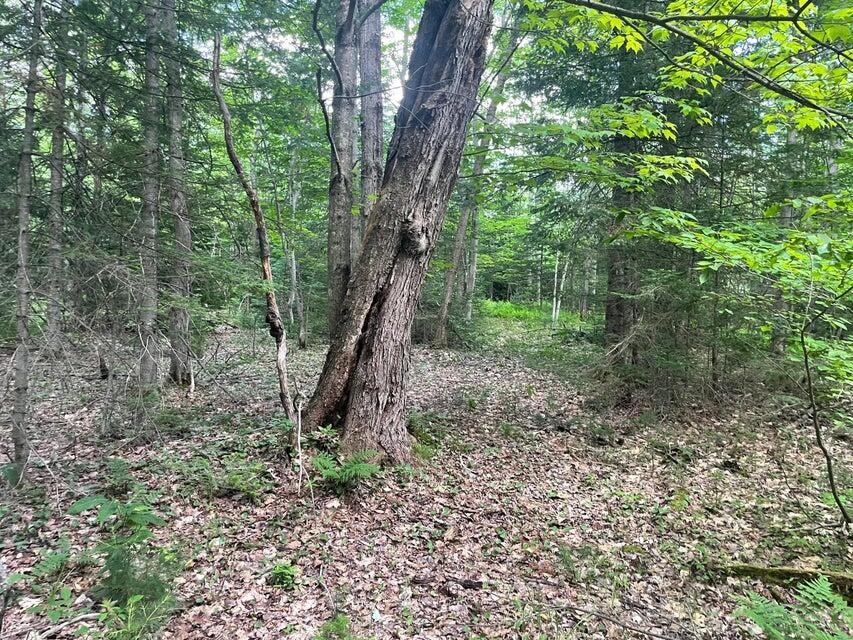 80 Gammon Road Peru, ME 04290 - Photo 15 of 18