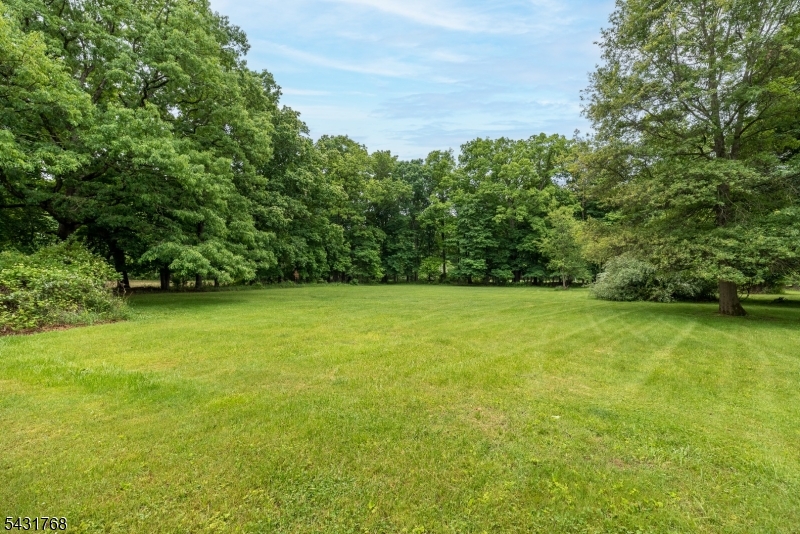 400 Mechlin Corner Road Pittstown, NJ 08867 - Photo 3 of 29 a view of yard with swimming pool
