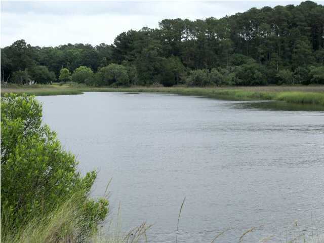 0 D Eddy Farm Road Meggett, SC 29449 - Photo 2 of 3 Additional Photo