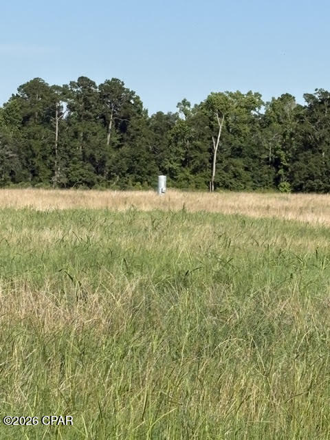 0 Galloway Road Graceville, FL 32440 - Photo 5 of 12