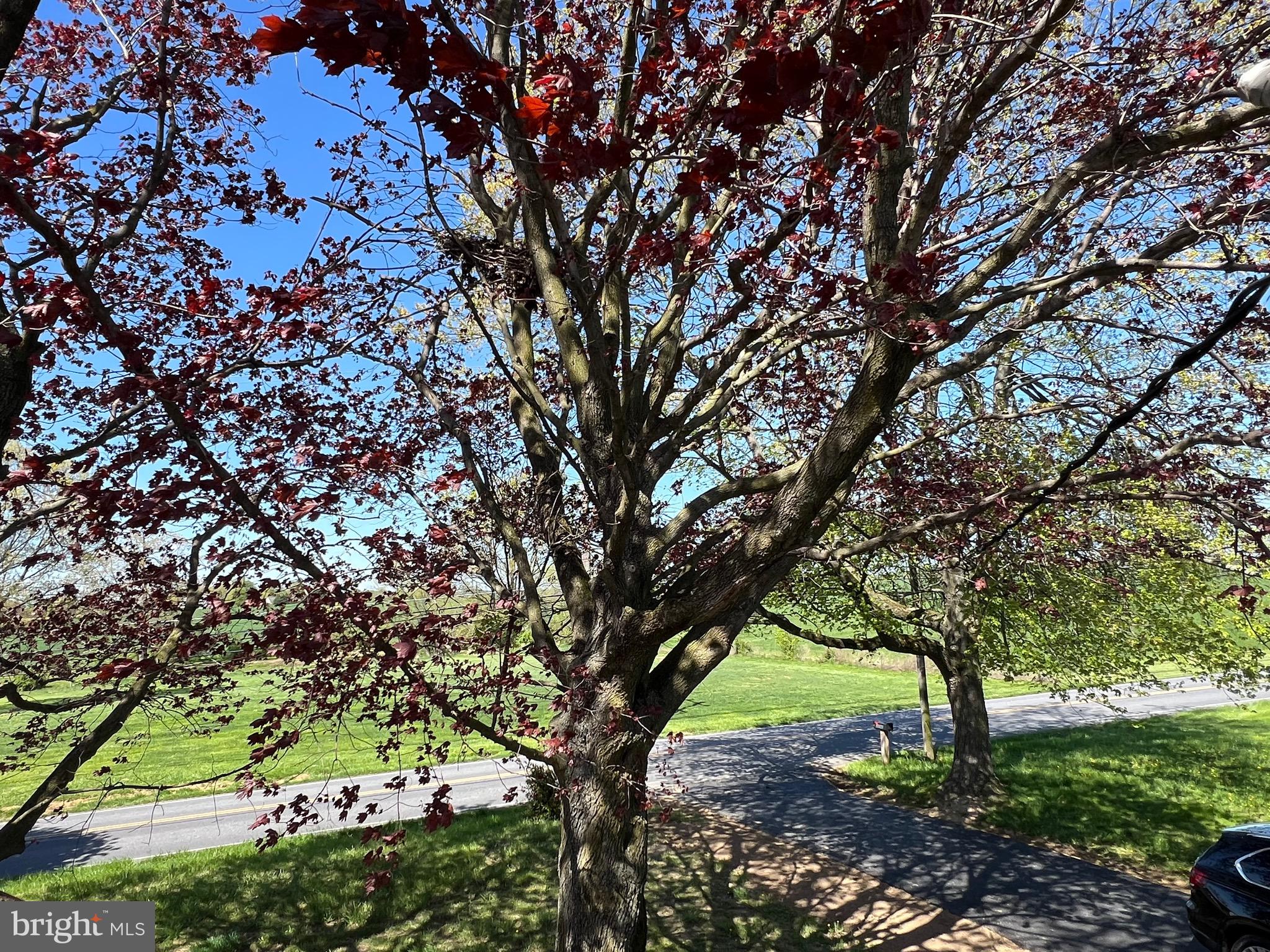 3232 Appleton Road Landenberg, PA 19350 - Photo 38 of 52