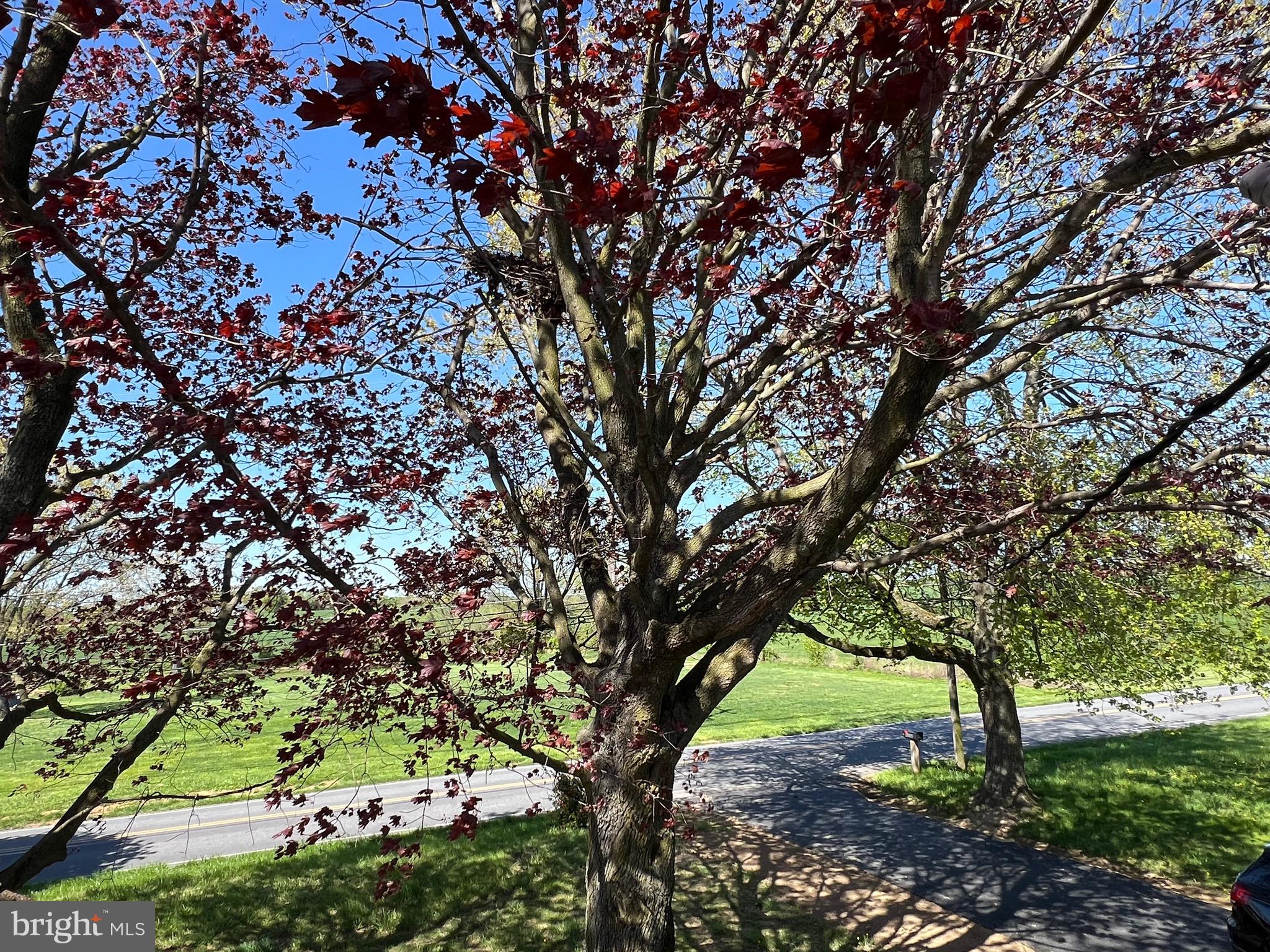 3232 Appleton Road Landenberg, PA 19350 - Photo 50 of 52
