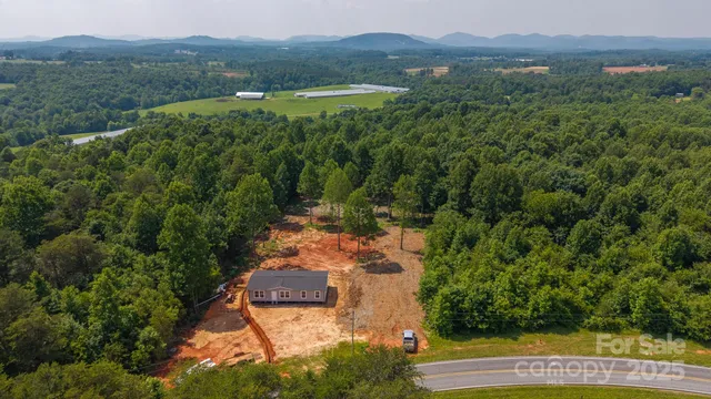 an aerial view of green landscape with trees houses and mountain view
