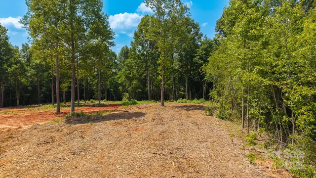 a view of a yard with trees