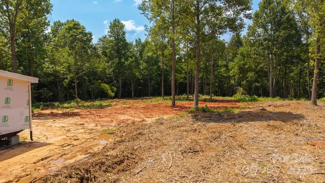 a view of a yard with trees