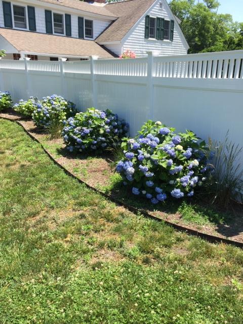 241 Pleasant Bay Road Harwich, MA 02645 - Photo 54 of 65 P Bay Rd Hydrangeas