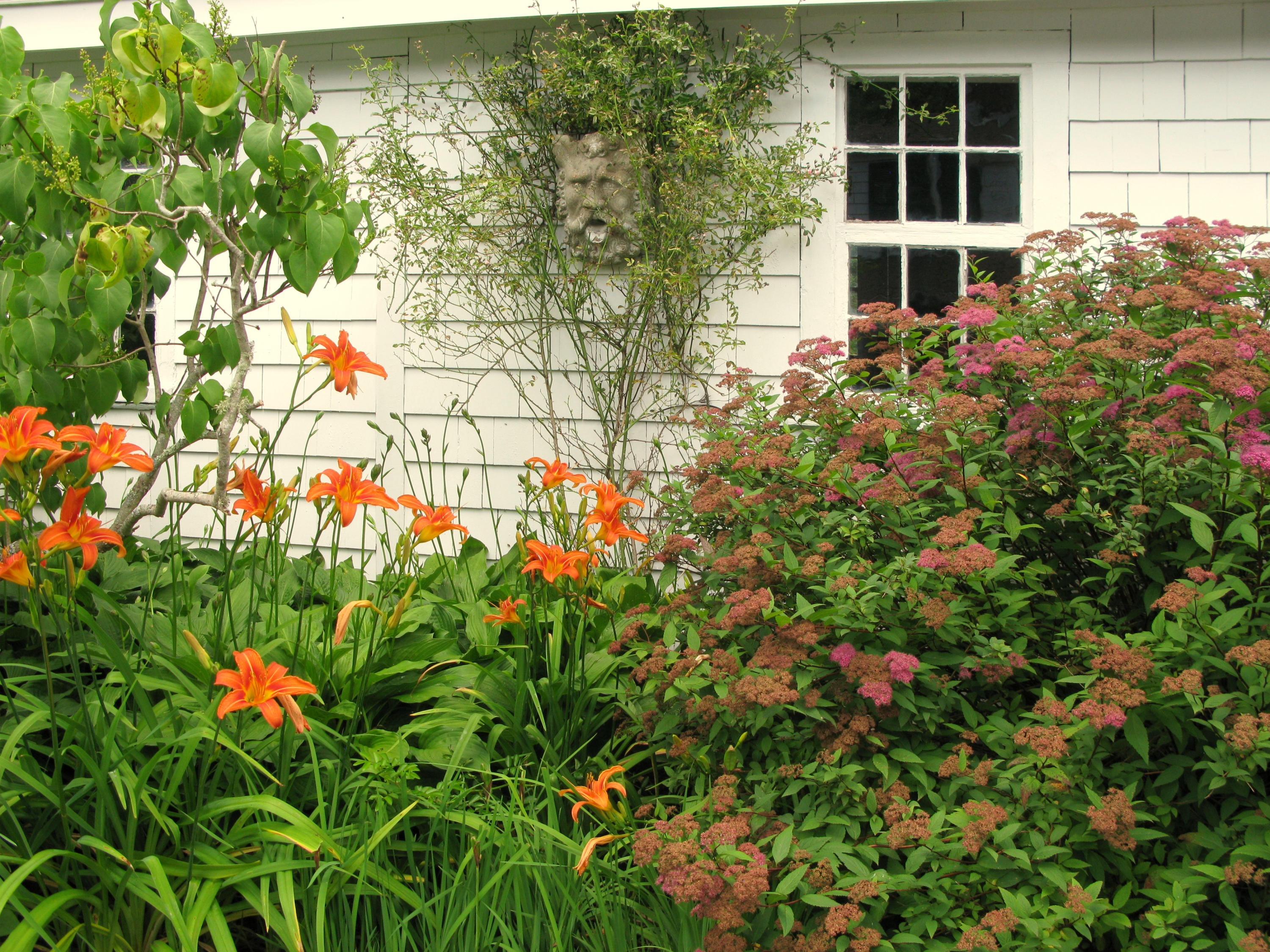 241 Pleasant Bay Road Harwich, MA 02645 - Photo 57 of 65 241PBR-8