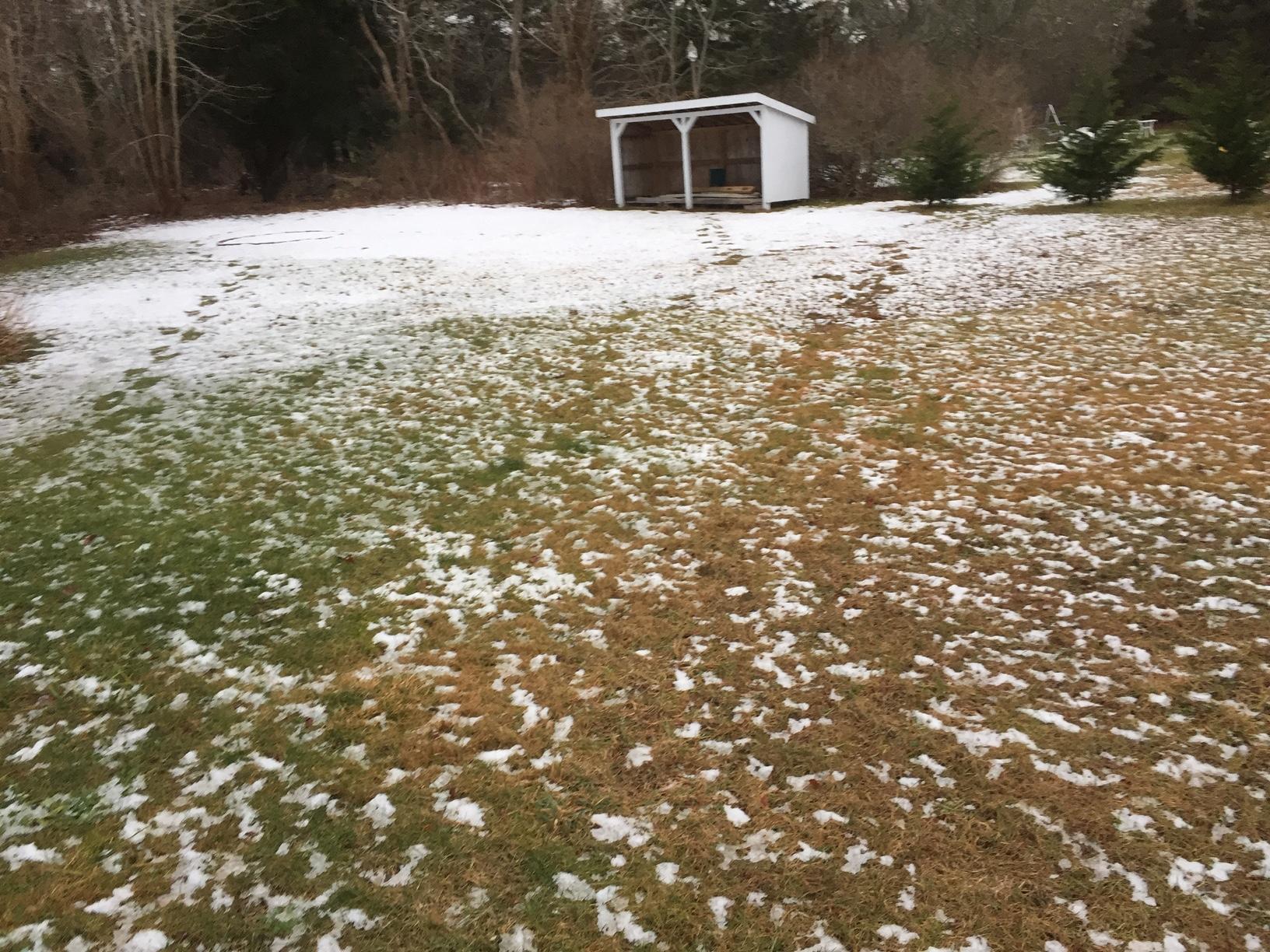241 Pleasant Bay Road Harwich, MA 02645 - Photo 61 of 65 P Bay Wood Shed