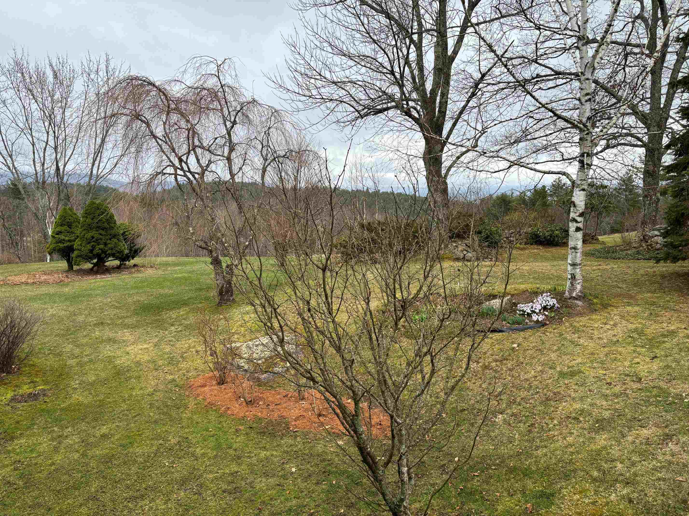 11 Ash Road Freedom, NH 03836 - Photo 8 of 31