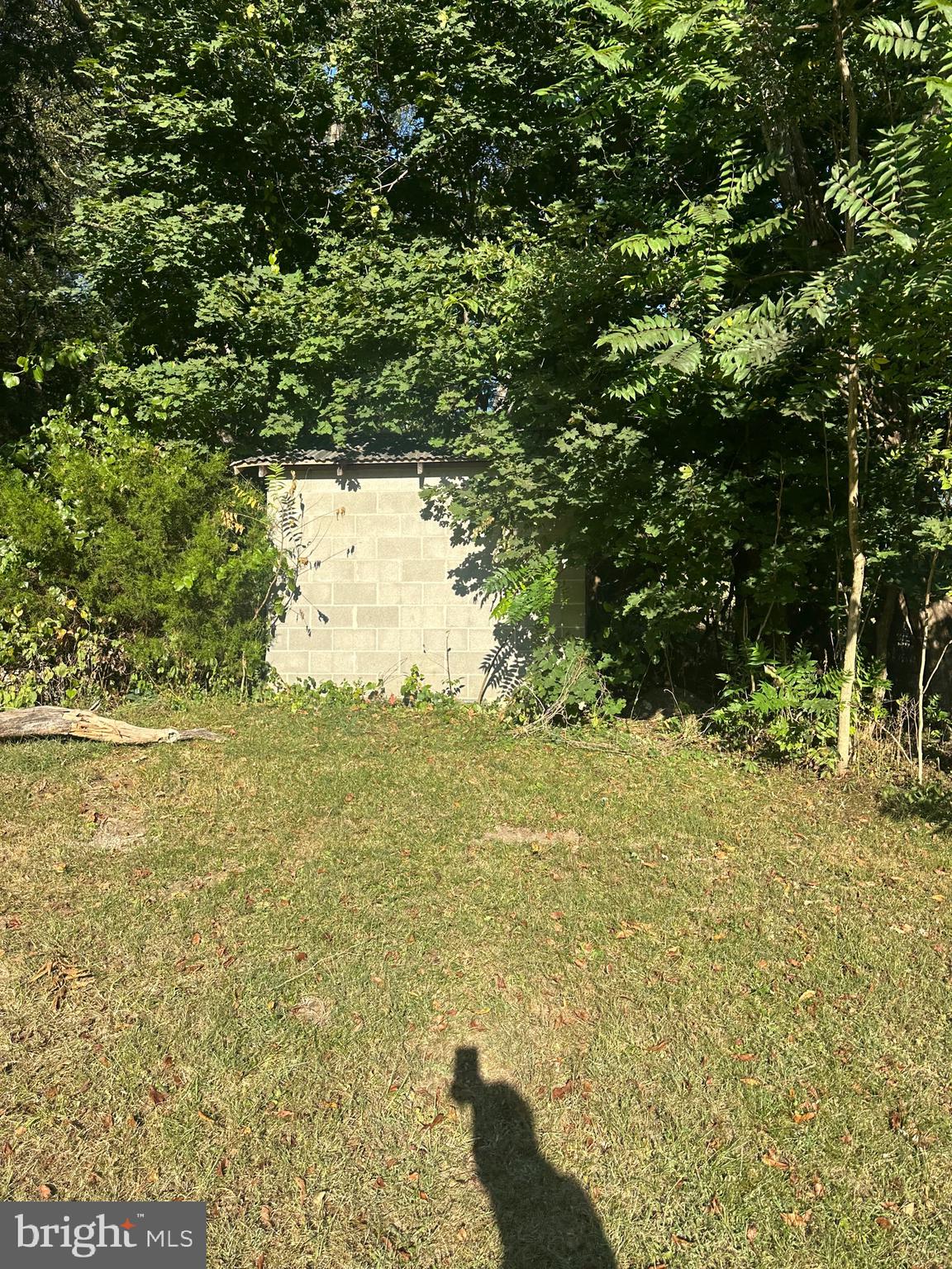 320 Locust Run Road Thompsontown, PA 17094 - Photo 5 of 29 a view of ocean