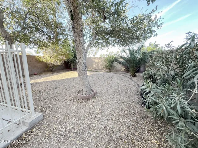 a view of a backyard