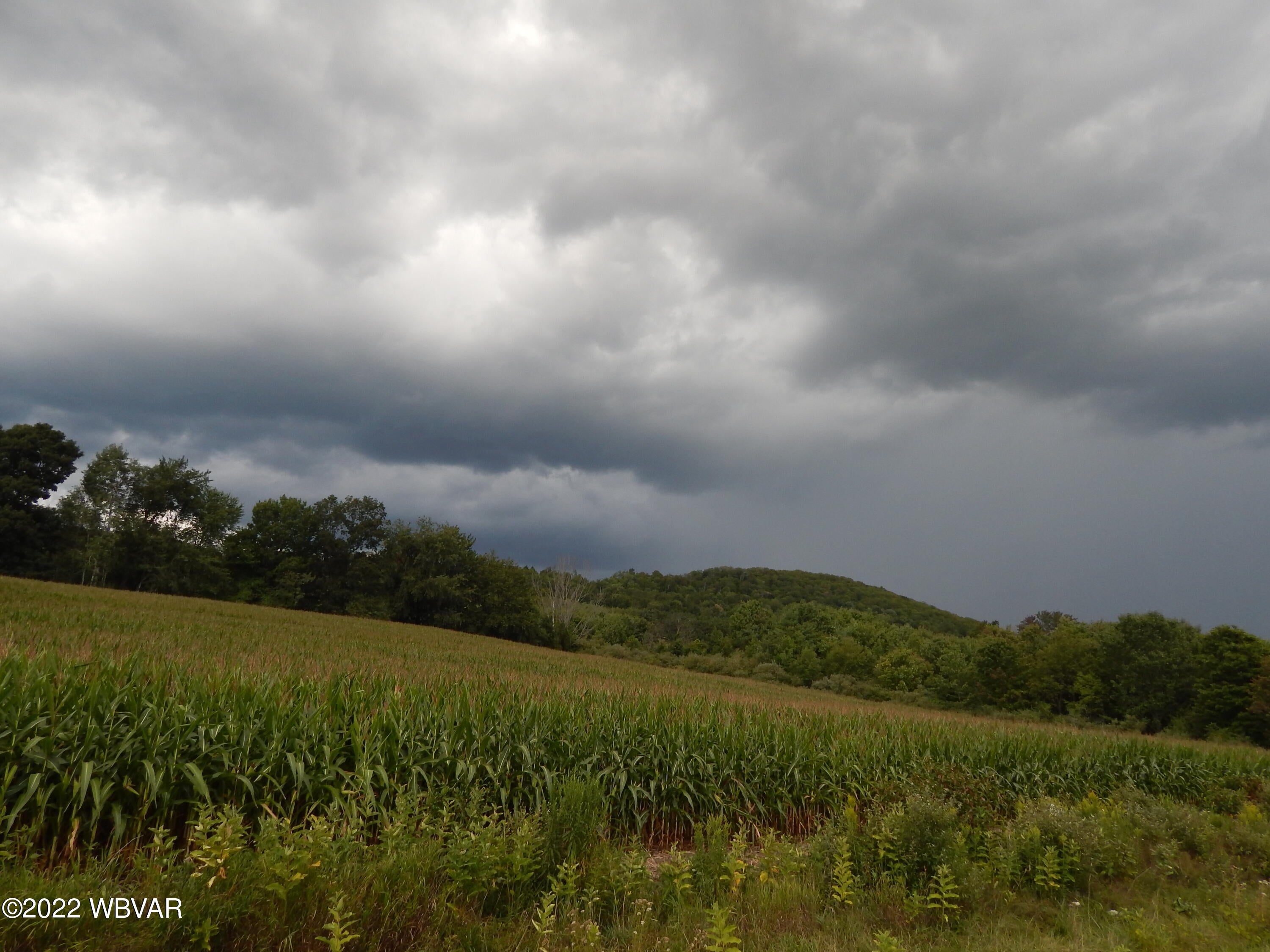2375 Steam Valley Road Trout Run, PA 17771 - Photo 6 of 32 Gallery Image 6